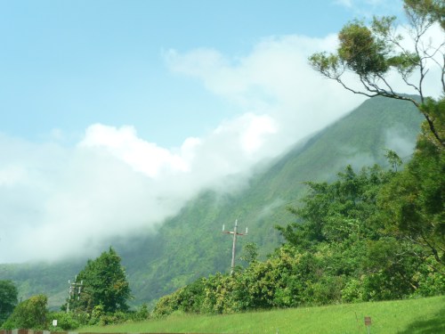 On the highway to Kailua, name not yet memorized
