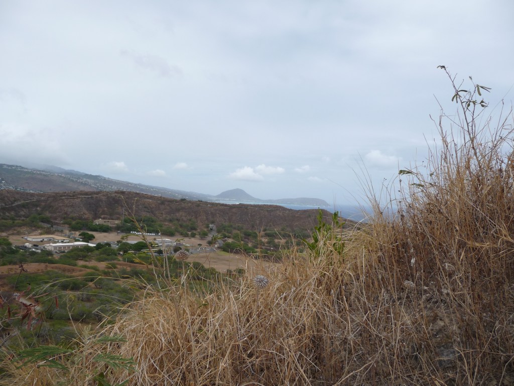 tinder-dry diamond head