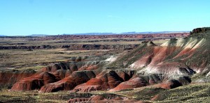 painteddesert We didn't get out of the car here.