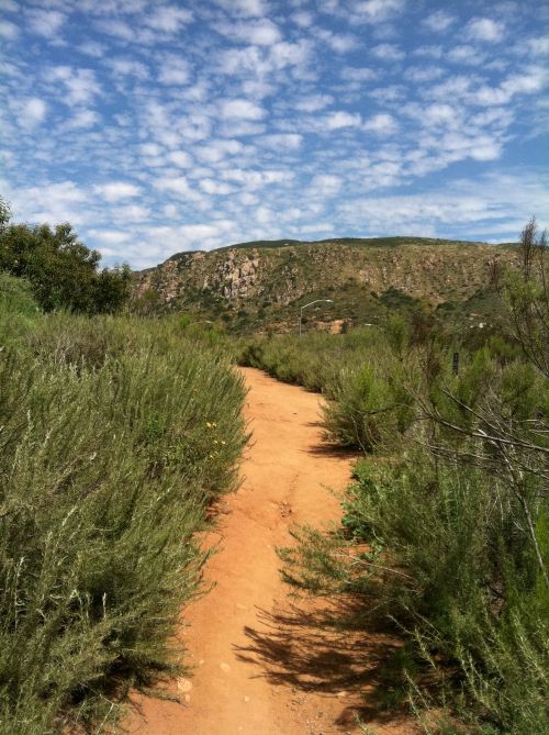 Photo Apr 11, 12 35 08 PM