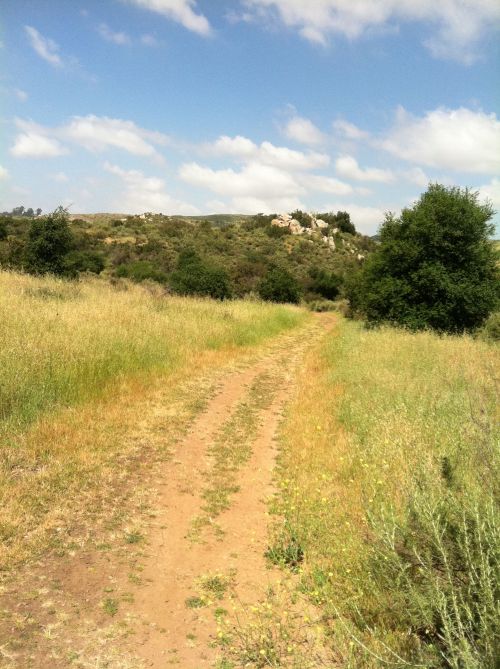 Photo Apr 26, 10 40 53 AM